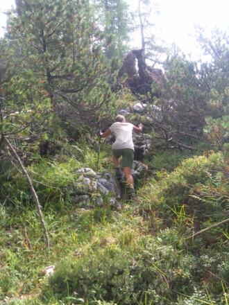 Westrücken zum Alphorn