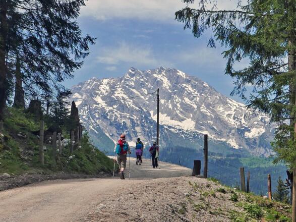 Blick zum Watzmann