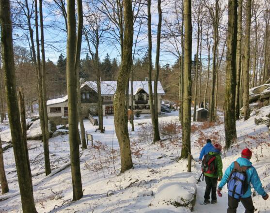 Abstieg zur Hütte am Waldstein