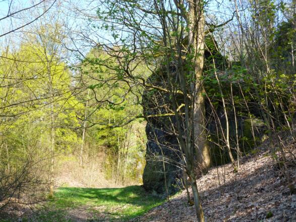 Am Eingang zum Diabas-Bruch am Labyrinthberg