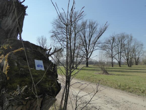 Donaupanoramawegmarkierung in Hutterhof