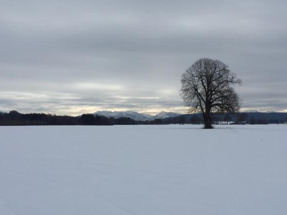 Bergblick Loipe Valley