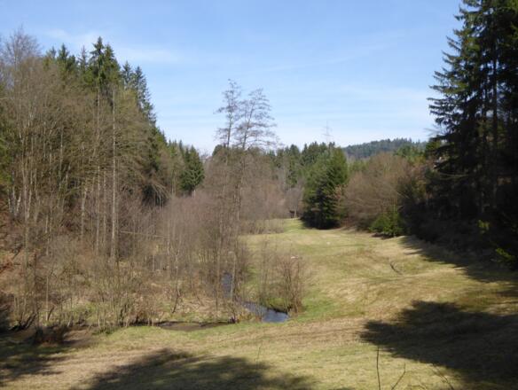 Perlbachtal
