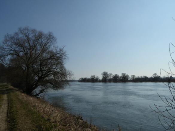 Donau kurz vor Pfelling