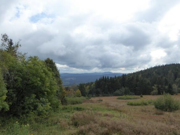 Aussicht vom Landshuter Haus