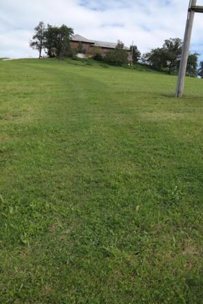 Diese Wiese wird auf einem schlecht sichtbaren Fahrweg gerade hinauf durchquert.