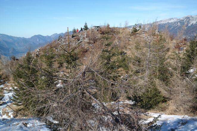 NW-Vorgipfel des Imitzberg. Von dem nordwestlichen Vorgipfel des Imitzberg hat man einen wunderbaren 360°-Ausblick. Vor allem die Sicht ins Garstnertal ist beeindruckend.