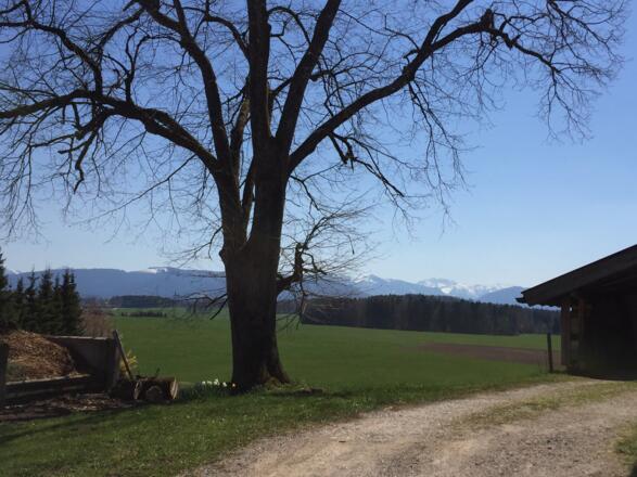 Reitham nach Böttberg