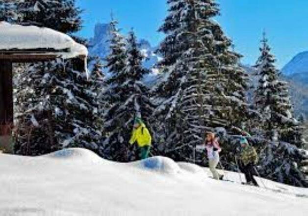 Schnee Schuh Wandern