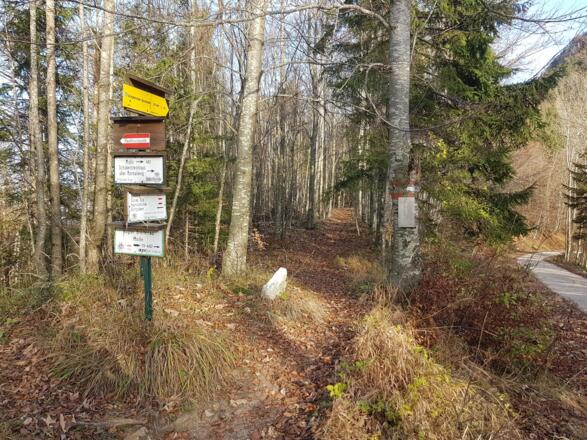 Abzweigung zum Schoberstein über den Schinder