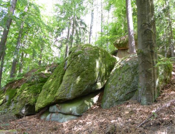 Am Schweinsberg
