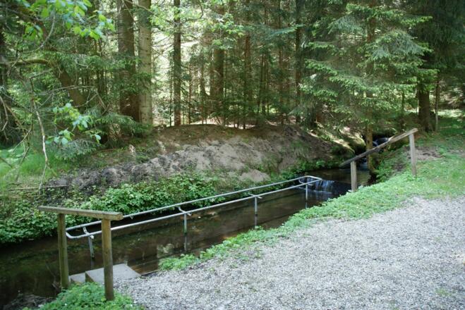 Kneipptretanlage &quot;Pröllersäge&quot;