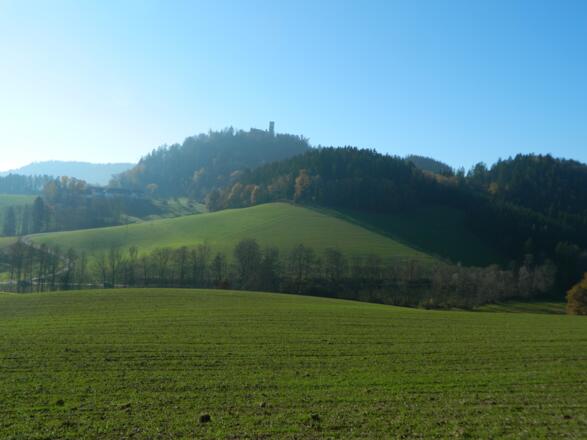 Blick zur Ruine Klingenberg