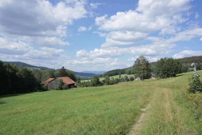 im Riedbachtal - gleich geht es rechts bergauf