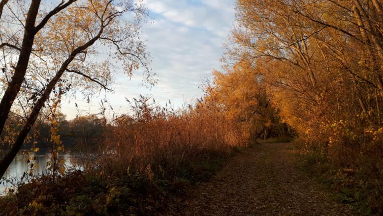 Straubing - an der Donau entlang