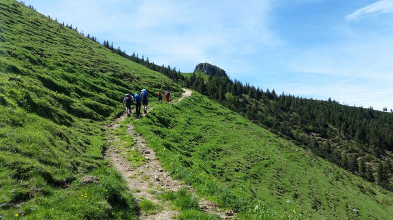 Am Lempersberg in Richtung Rotwand