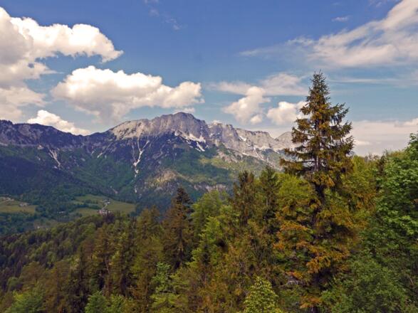 Blick zum Untersberg