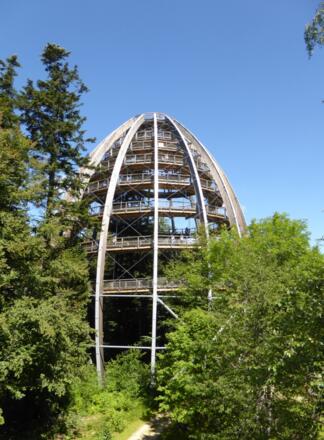 Baumwipfelpfad