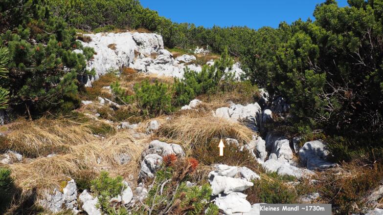 ~1730m beim kleinen Steinmandl rauf, die Latschengasse wir bald immer enger
