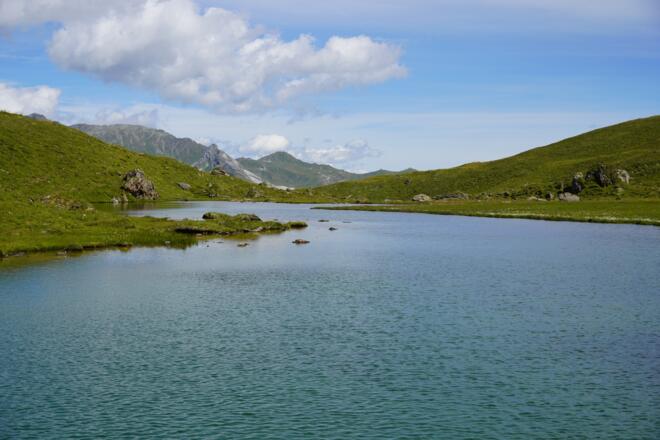 Torsee