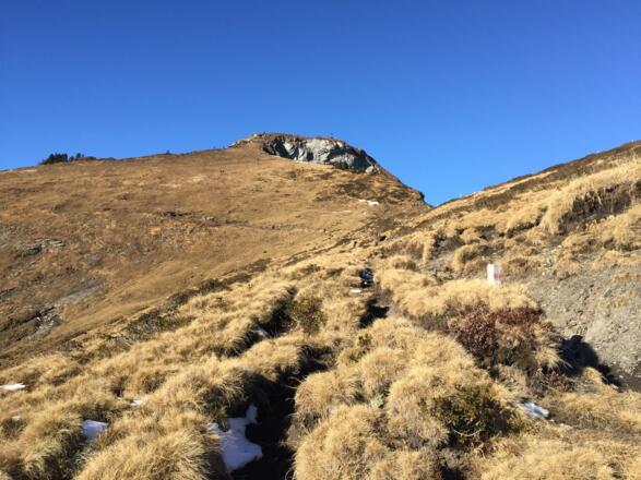 Blick zurück zum Gipfel der Hohen Matona