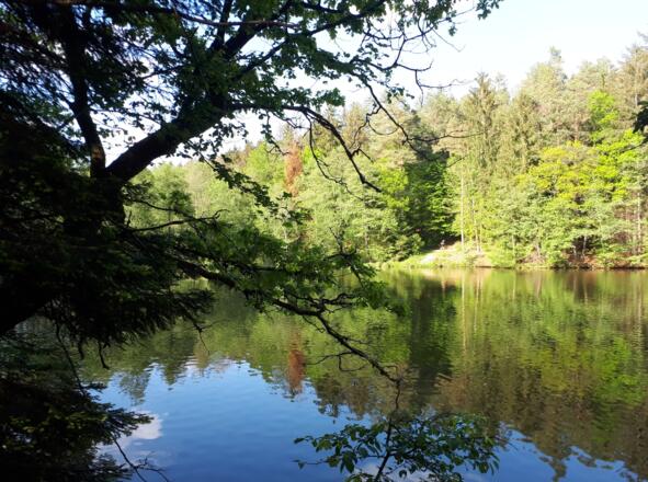 Dreiburgenseerunde (kurz)