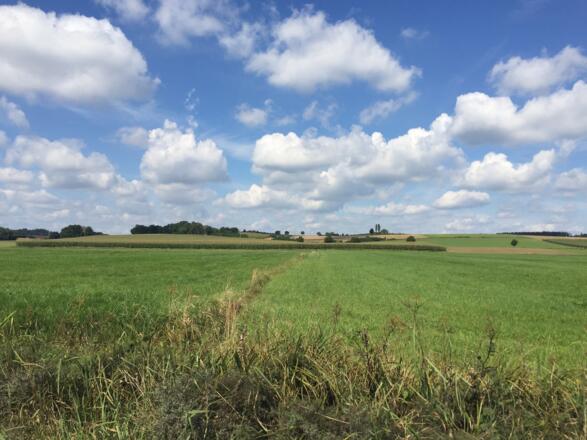 Landschaft bei Mittermarbach