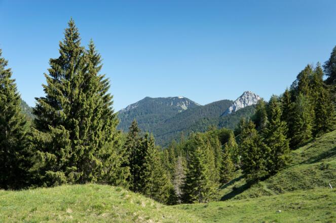 Ausblick von der Königsalm zu Hirschberg und Leonhardstein