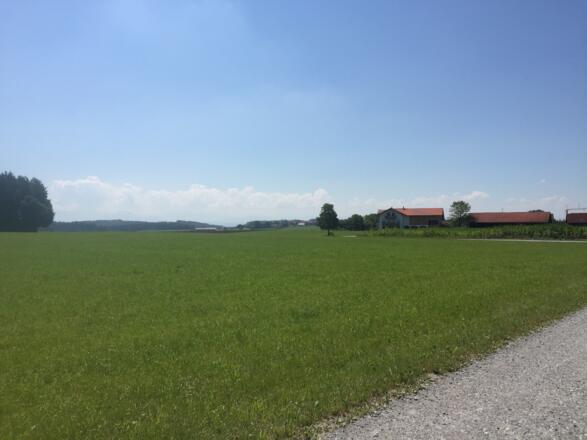 Bei Obereichhofen Bergblick
