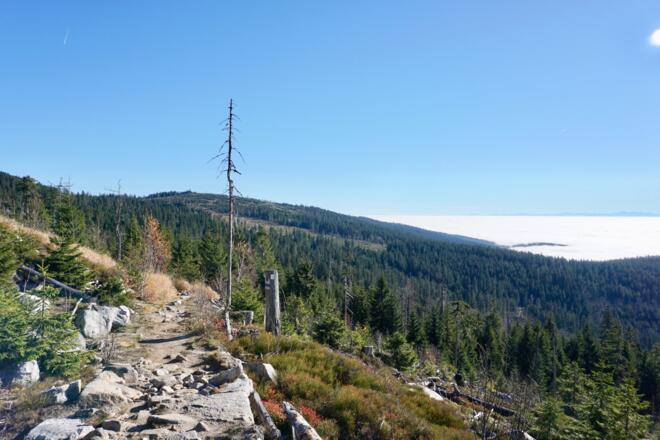 Steig vor dem Steinernen Meer