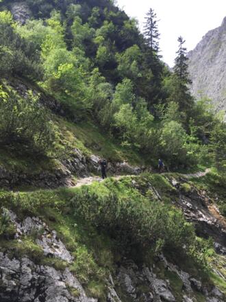 Rinderweg Richtung Höllentor