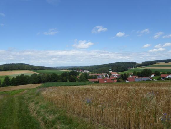 Weg nach Dörfling zurück