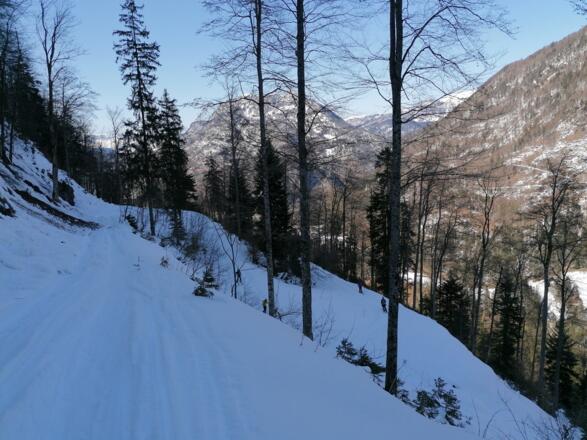 Abfahrt-Variante von der Roßberghütte über den Forstweg (mit 4 kurzen Gegenanstiegen) zurück zum Klausgraben ...