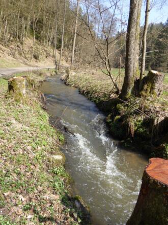 Perlbachtal
