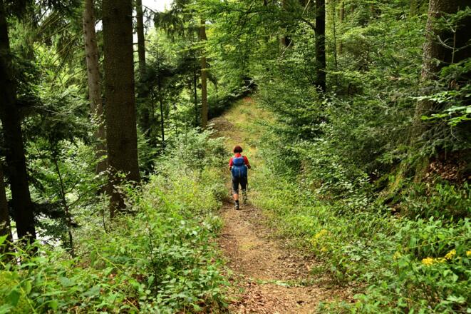 Kurz nach St. Thomas - unterwegs zur Ruine Klingenberg