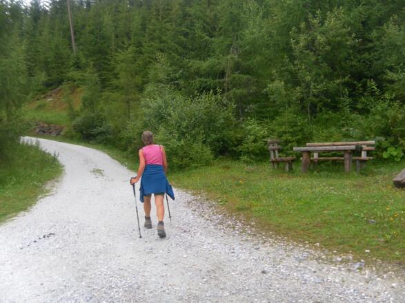im Wennser Wald