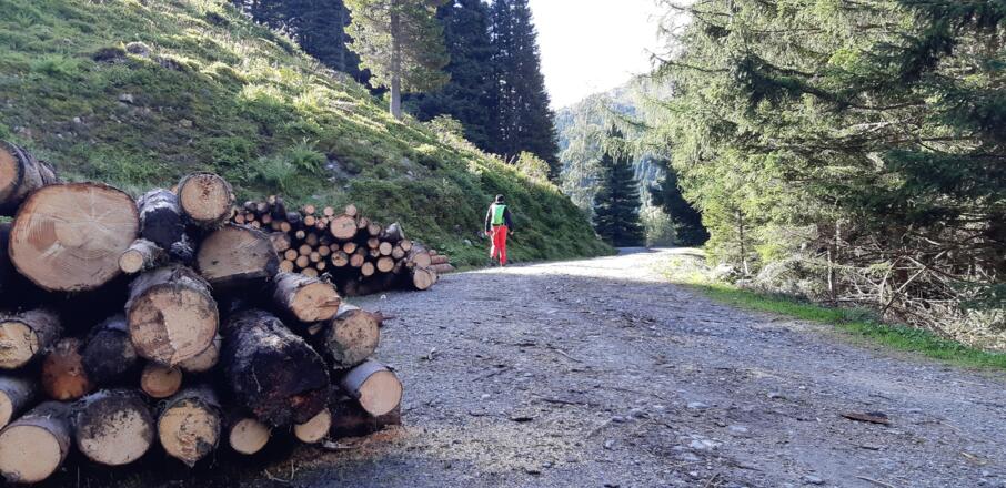 Auf der Forststraße Richtung Vorbergalm bis ...