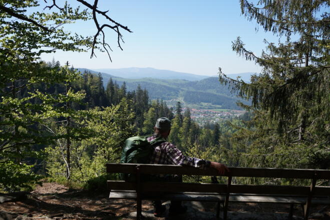 Schweiklruhe mit Blick nach Bodenmais und Gaiskopf/Einödriegel