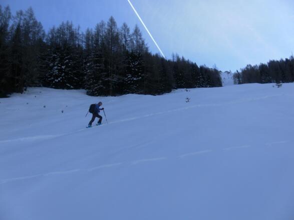 steile Waldschneise