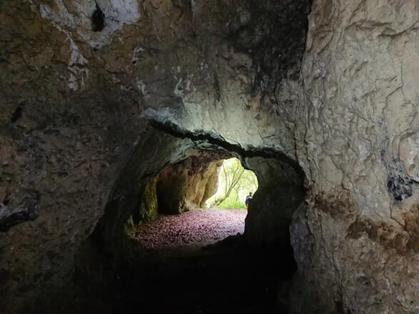 In der Rohenlochhöhle