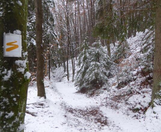 Am Goldsteig geht es zurück nach Kröblitz