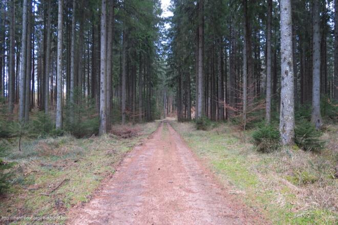 Forstweg