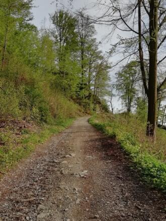 Weg zum Augenbründl