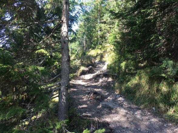 Weg vom Mutterberg zur Fraßenhütte