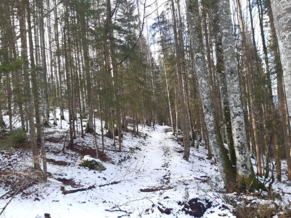 alter Karrenweg nach Hinterstoder