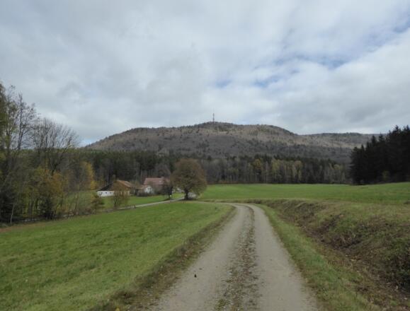 Aufstieg zum Burgstall (976 m)