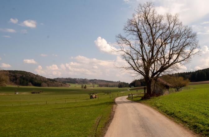Landschaft kurz nach Mattenhofen