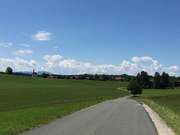 Kleinhartpenning