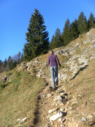 am Weg zur Kranzhornalm