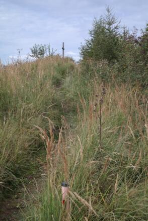 Die letzten Meter zum Eiskogel (1.087 m).
